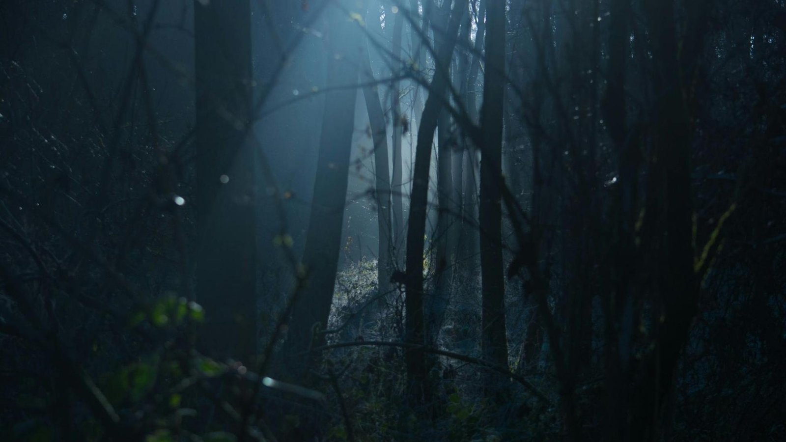 The Shadow of Protection