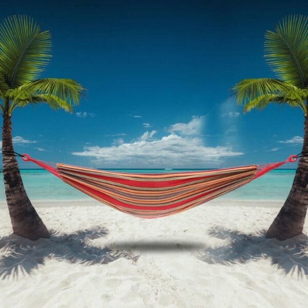 Relaxation in Nature: Beach Hammock Strung Between Palm Trees