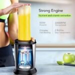 Fochea Fruit Blender - 500W of Deliciousness.