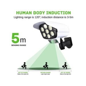 Solar Sensor Light with Motion Detection and Remote Control