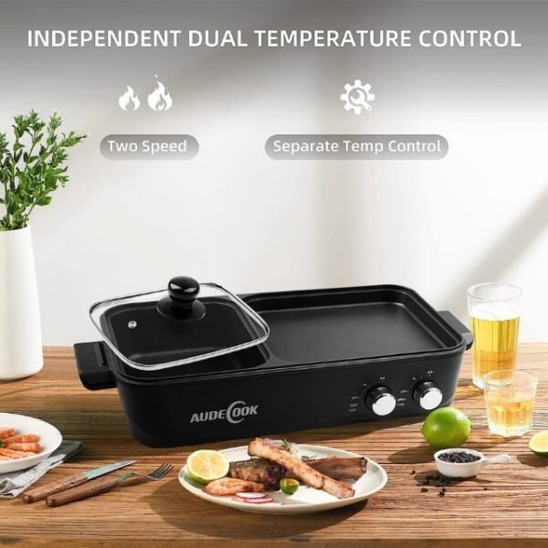 Dual temperature control for versatile cooking with Audecook.