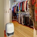 Space-Friendly Orbegozo DH 600 Dehumidifier in Bedroom Corner.