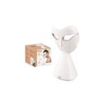DSP facial steamer mask on white background with package.