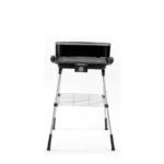 Robust Orbegozo BCT 3950 Grill for Outdoor Picnics.