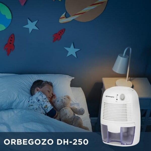 Child's Bedroom Protected by the Silent DH-250 Dehumidifier.