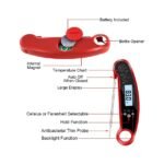Detailed product analysis of the I-Regro thermometer.