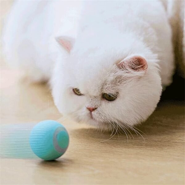 Cat Mesmerized by Smart Pet Toy - Harmless Silicone for Endless Enjoyment!