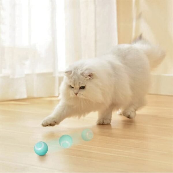 Playful Cat with Smart Pet Toy - Exercise and Coordination Galore!