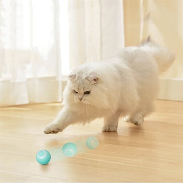 Playful Cat with Smart Pet Toy - Exercise and Coordination Galore!