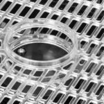 Efficient Dessini food dehydrator with 5 perforated layers for optimal drying and heat dispersion.