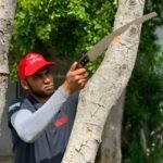 Man efficiently cutting with Samurai Pruning Saw – Perfect for Garden Use.