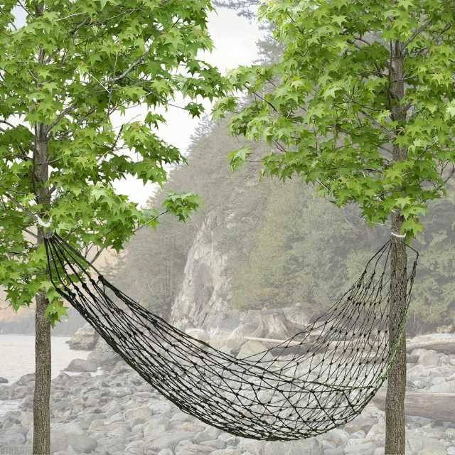 Outdoor net hammock tied between trees.