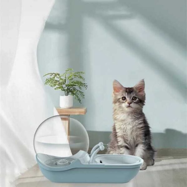 Cat next to blue automatic water dispenser, observing the flowing water.