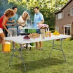 Friends having a barbecue with foldable table supporting snacks.