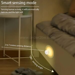 Motion Sensor Wall Lamp LED Night Light for Closet, Stairs & Halls