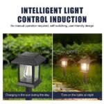 A solar garden pathway light charging in sunlight and illuminating automatically at night.