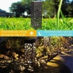 Creative solar garden lights automatically charge during the day and illuminate at night, providing effortless lighting.