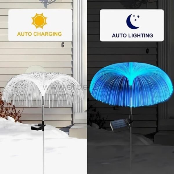Jellyfish solar garden lights soaking up the sun and glowing at night, showing auto charging in action.