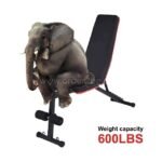 An elephant sitting on a multi-functional home gym bench, illustrating its impressive weight capacity of 600 lbs.