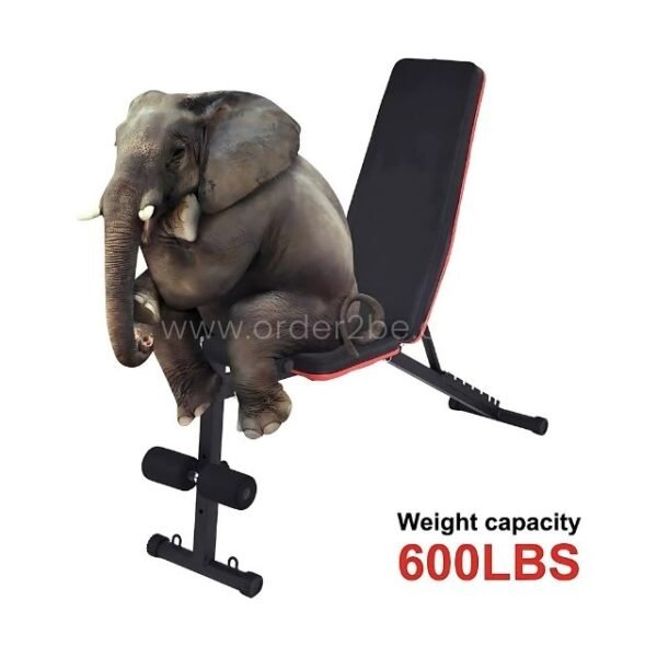 An elephant sitting on a multi-functional home gym bench, illustrating its impressive weight capacity of 600 lbs.