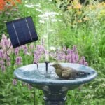 Up-close view of a solar-powered water fountain birdbath with a bird mid-splash among blooming flowers.